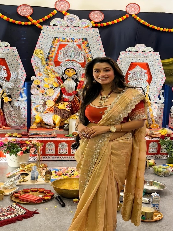 Elegant Indian Saree with Blouse